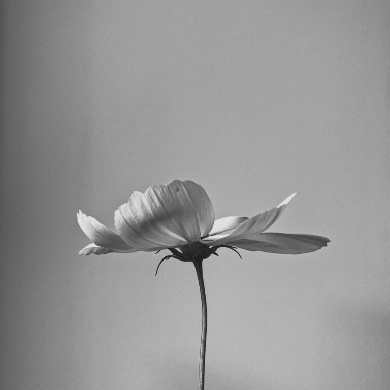 pierwsza wizyta u psychologa